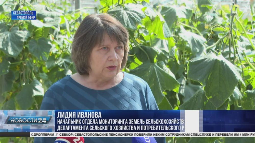 �� ���� ����������� � �����: � �������� ����������� �������� ����� ������ �������