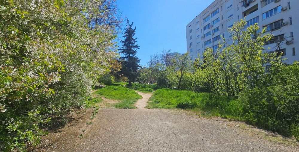 #���� ������������ ����������� �� ������� ��������������� � ������ ��������� ������������� ���������� ���������...