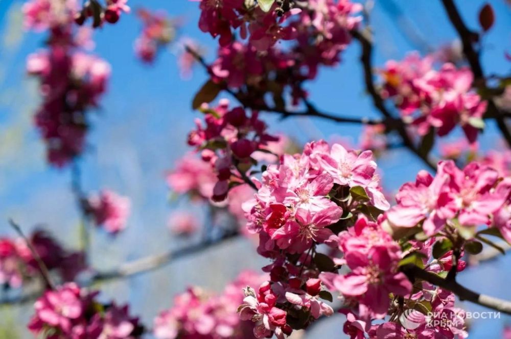 ������� ������ � ����� �� �������