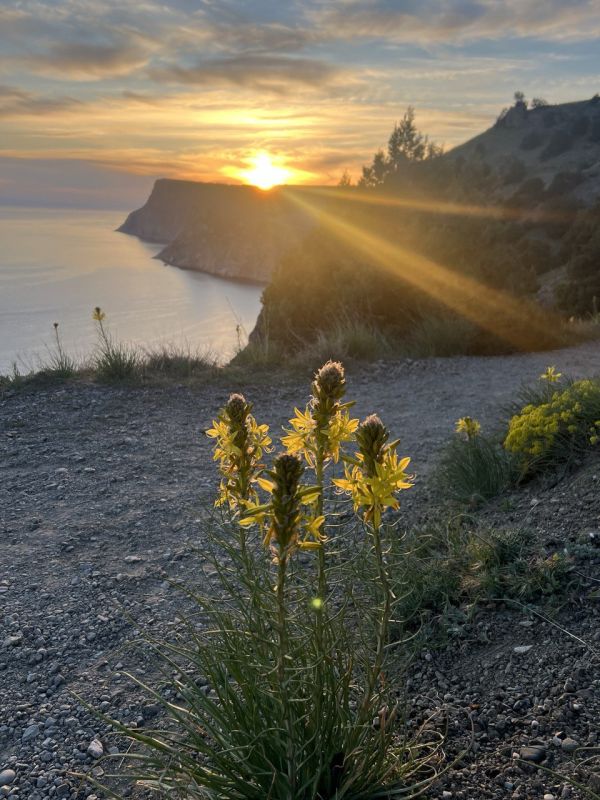 #��� �� ��������?. ������ ������ � ��� ��������� ��������, ��������� � ������ �����, ������� ��������� ��� �������� ��������� �����