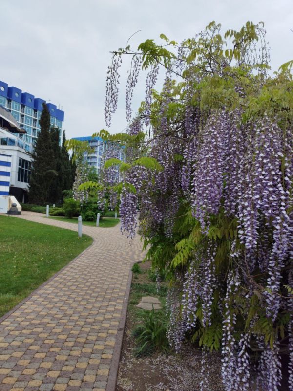 ������ ����, �����������! ������� ��������� ������� ���������� ����������, ��� �������