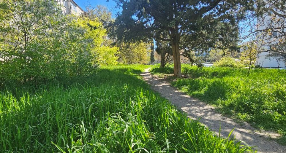 #���� ������������ ����������� �� ������� ��������������� � ������ ��������� ������������� ���������� ���������...