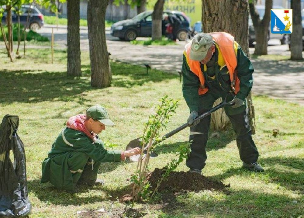 � ������ ������ ���� �������� ������� ����������