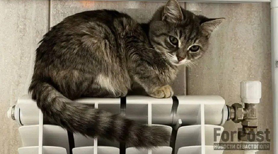 � ��������� ����� ����������� ���������� ����������