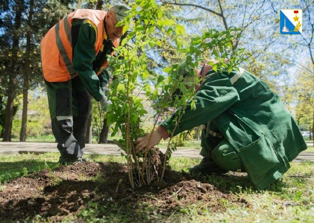 � ������ ������ ���� �������� ������� ����������