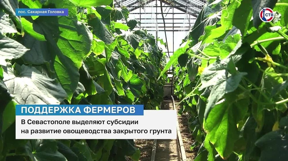 ������������� ����������� �������� �������� �� �������� ������������