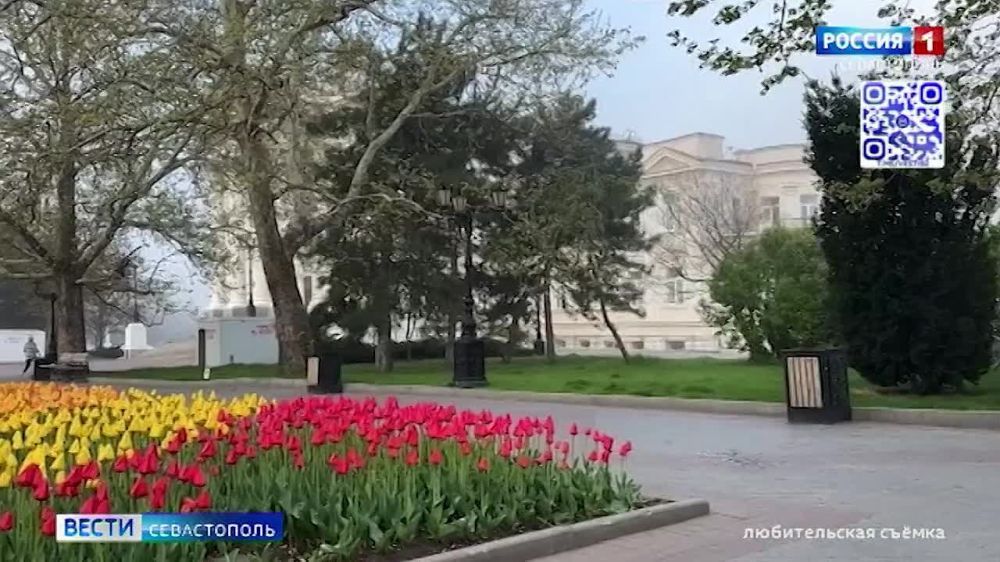 �� ����������� ���� � ��������� ��� ������ �������, � �������� ������� ��� �� �����