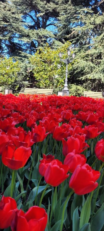 ���� �����!. � ����� � ����������� ��� �������