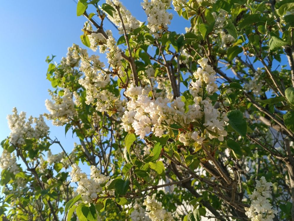 ������� ������ � ����� �� 30 ������