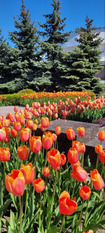 ���� �����!. � ����� � ����������� ��� �������