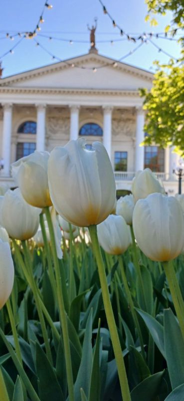 ���� �����!. � ����� � ����������� ��� �������