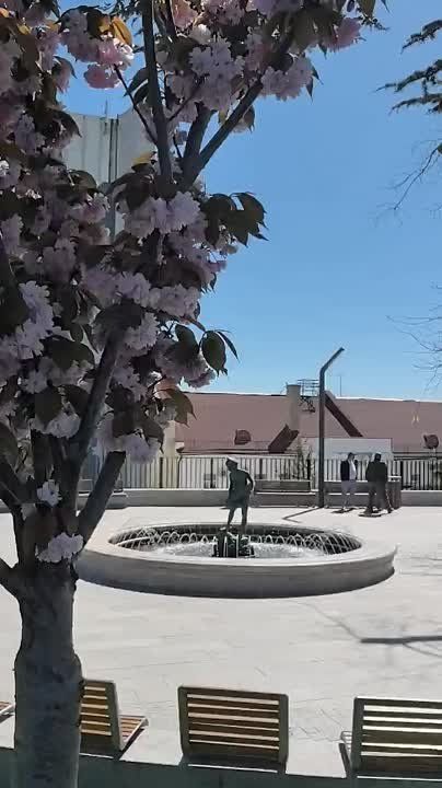 ��������: � ���� ������������� ������� �� ���������� �������� ��������� ������� �����