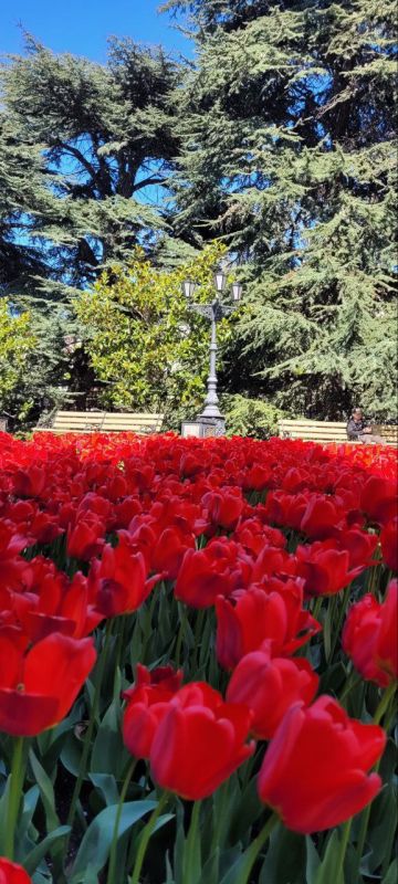 ���� �����!. � ����� � ����������� ��� �������