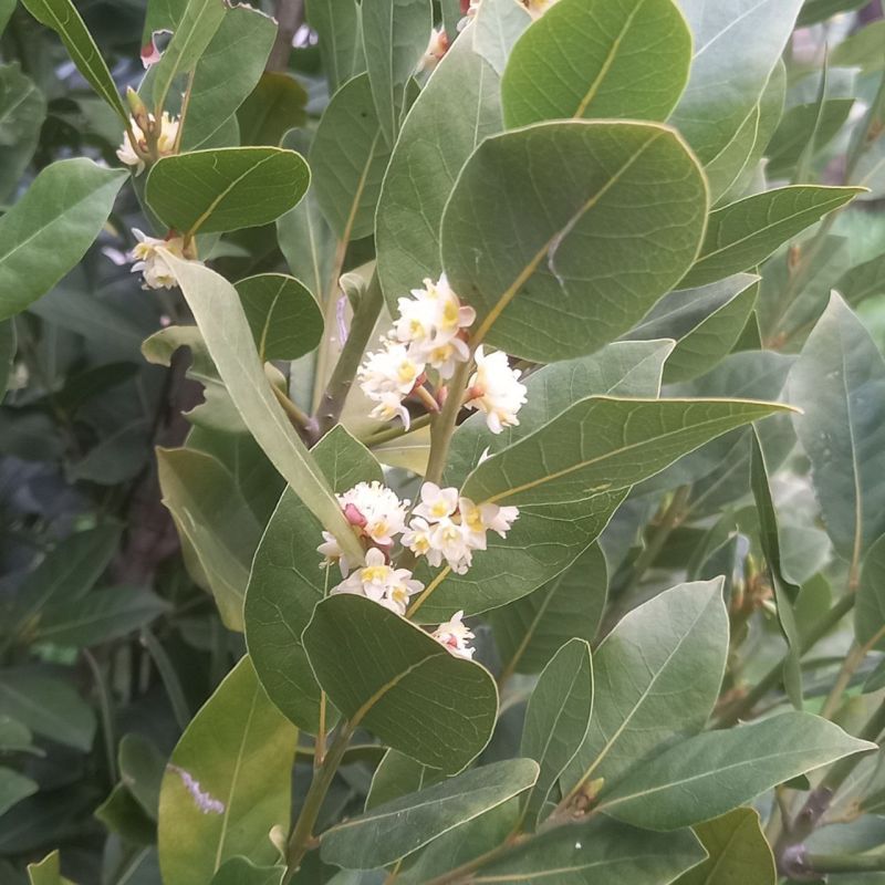 #��� �� ��������?. � ���� �������� ��������, ��� ������ ����� ������ ����, ����� ����������� ����� � ������� ��������� � ������