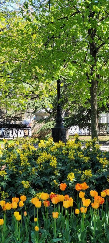 ���� �����!. � ����� � ����������� ��� �������