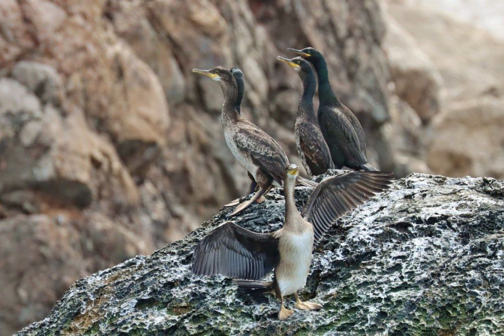 ������������ ����������������� ������������ ���������� - ��� ���������������� ����������� �������� ���������� ��������� ����� ���� ��� �� ���������� �����