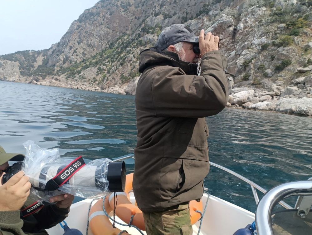 ������������ ����������������� ������������ ���������� - ��� ���������������� ����������� �������� ���������� ��������� ����� ���� ��� �� ���������� �����