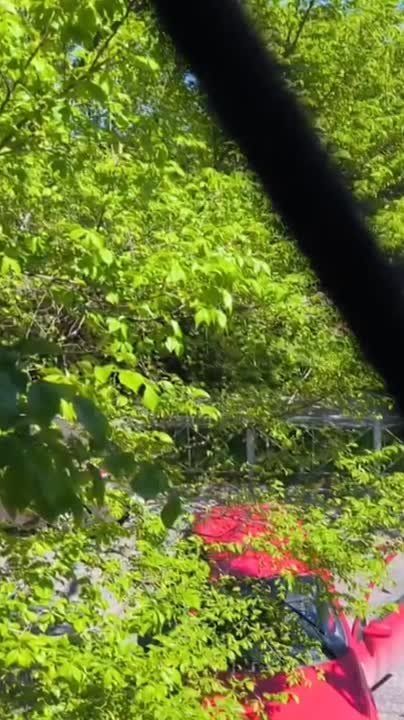 ��� ������ ���������� ��-�� ������������� �� "�������" ������ �� ��. ������� ������, ����� � �������� �� ������������ �������.