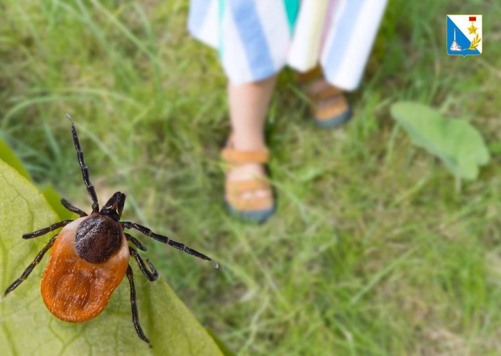 � �� �����, ��� � ����������� �������� ��� ����������� ��� �������� ������ �� ������� ��������?