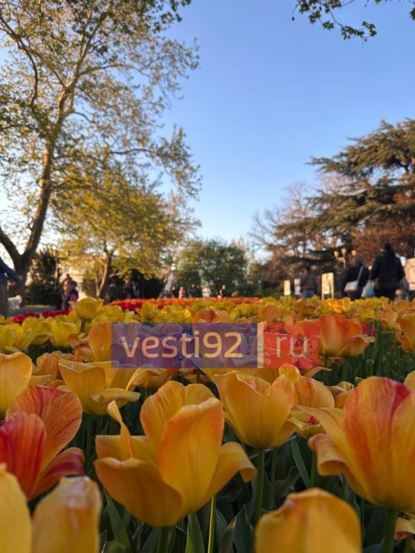 ������ ����, �����������! ������� ��������� ������� ���������� ����������, ��� �������