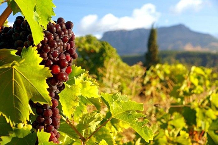 ����� �������: ���������� ������� ������� �� ������ ����� �������������� ������ ������������ ��������