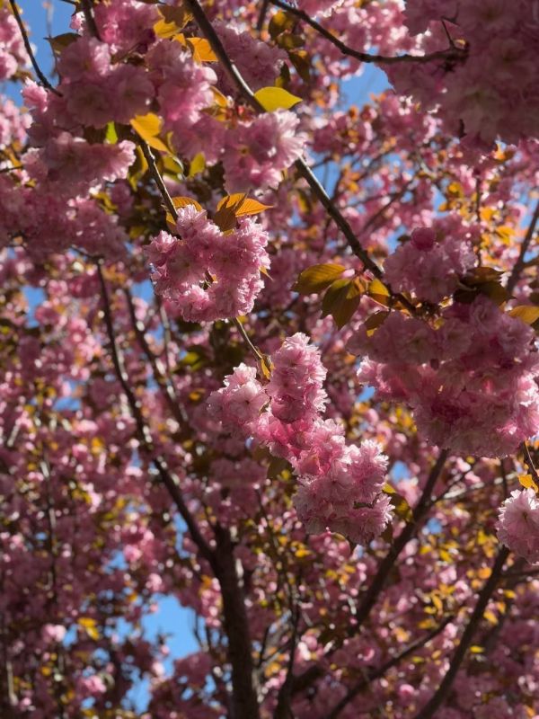 "���, ����, ���!": ��������� 1 ��� � ������� ������� � ���������� �����������