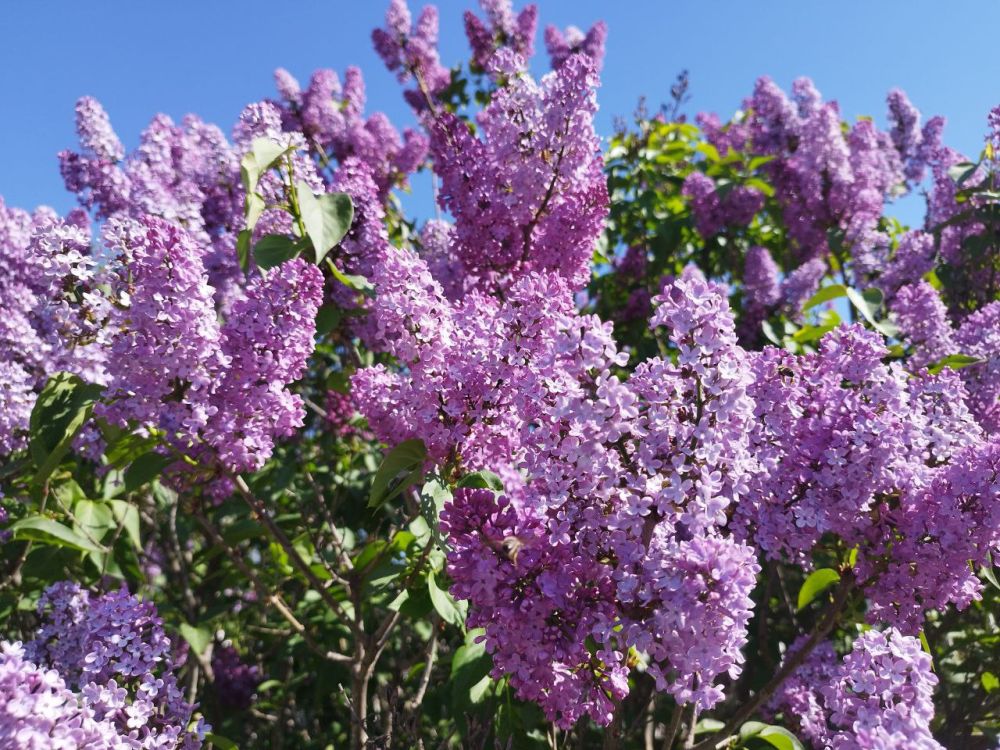 ������� ������ � ����� �� 1 ���