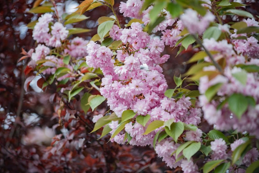 ����! ����! ���!� ���� ������ ���������� �������� ������� ����� ������!