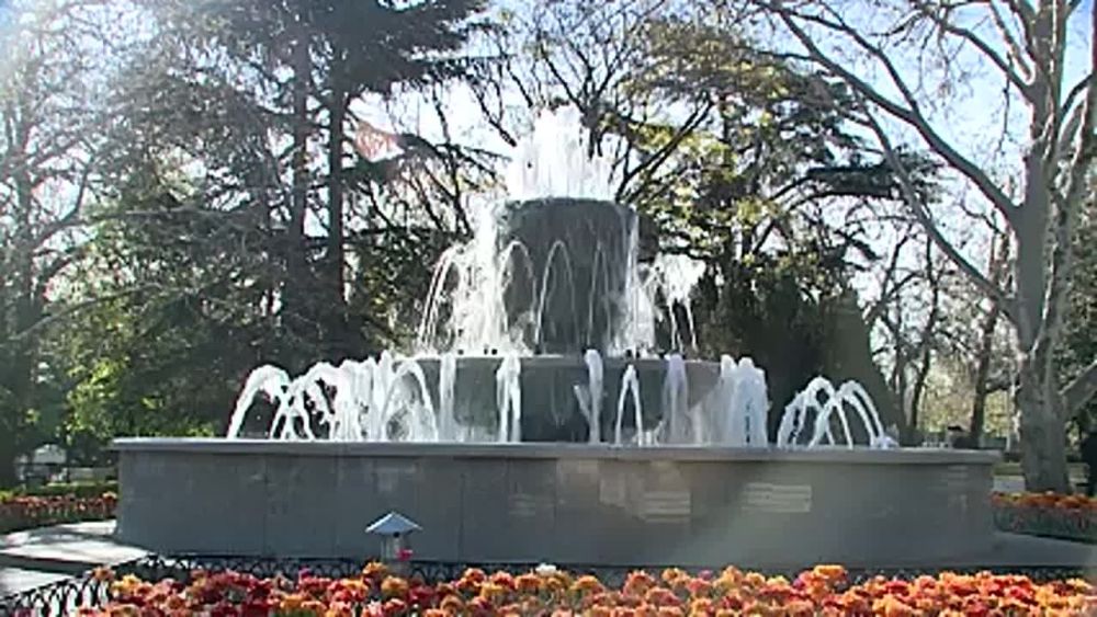 � ������ ������� ���� � ����������� ���� ����� ������ ��������