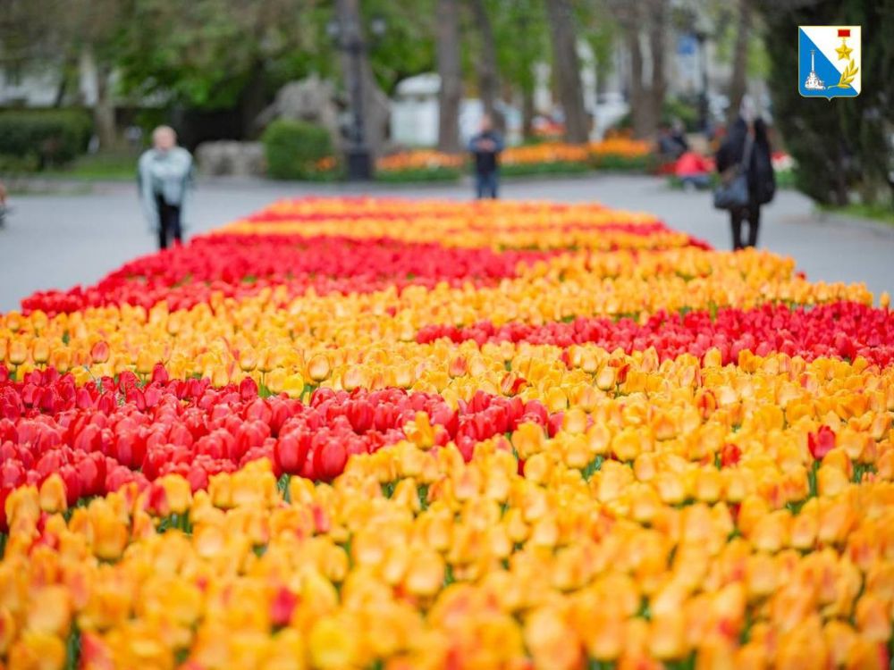 ������� �������������!. ����������� ��� � ���������� ����� � ����� � 1 ���