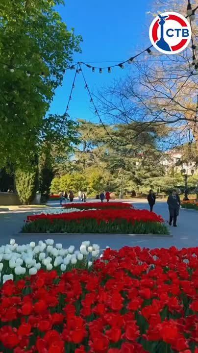 ������� ��������� � ������ ������-�����