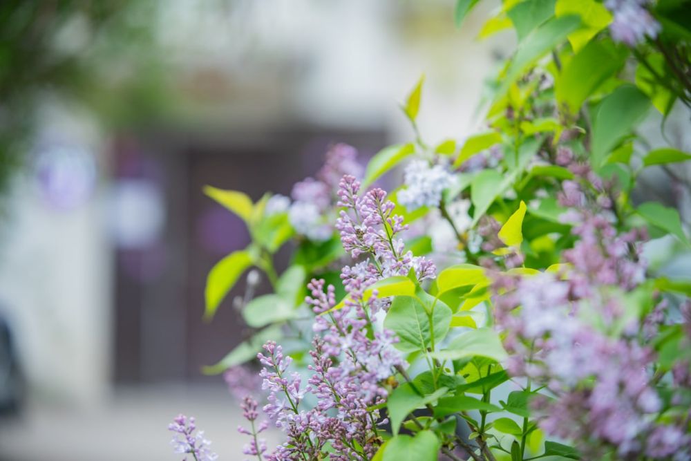 ����! ����! ���!� ���� ������ ���������� �������� ������� ����� ������!