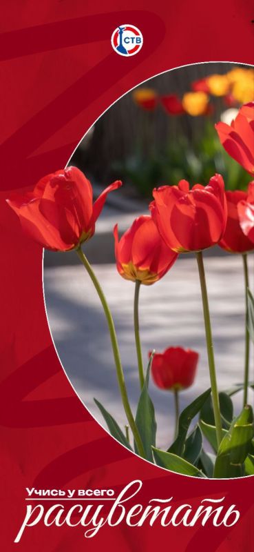 �������� ��������� ����� ����� � ���!