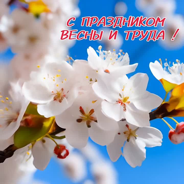:  !.    !