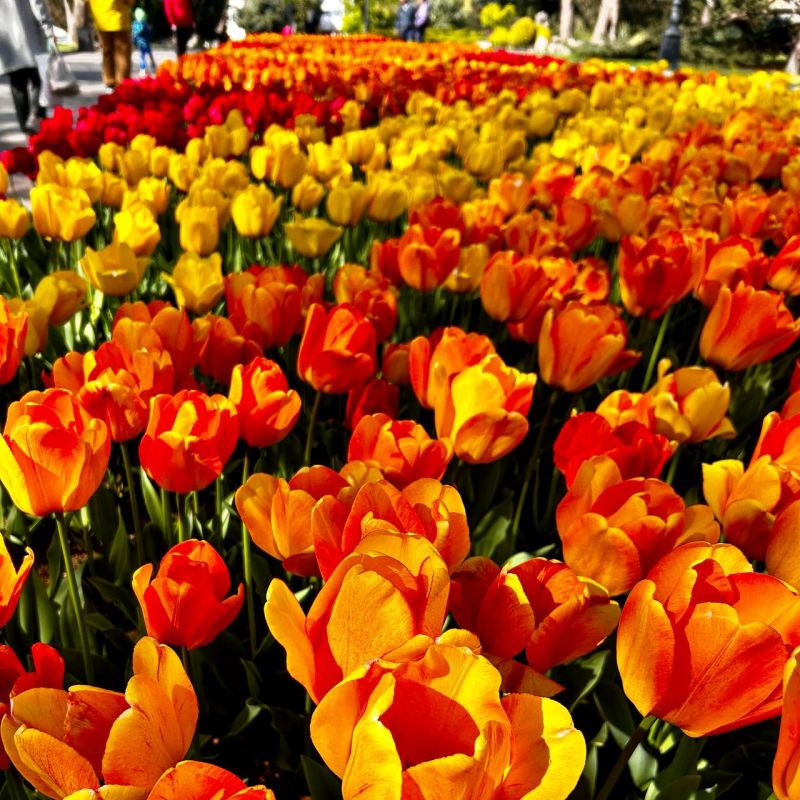 ������� ������, �������, ���������� ��� � ���� ���� ����������!