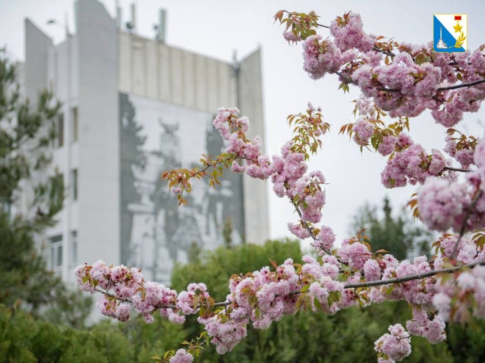 ������� �������������!. ����������� ��� � ���������� ����� � ����� � 1 ���