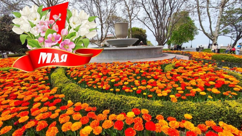 ��������� ��������!. ���������� ������� ������ ����������� ��������� ������� ���� ������� � �����������