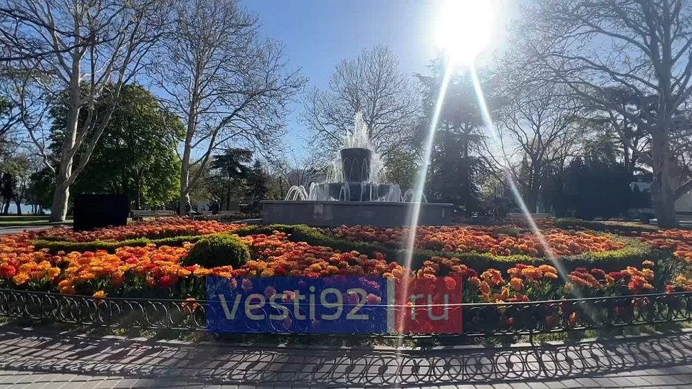 ������� � ����������� � 8:00 ���� ������ �������� �������