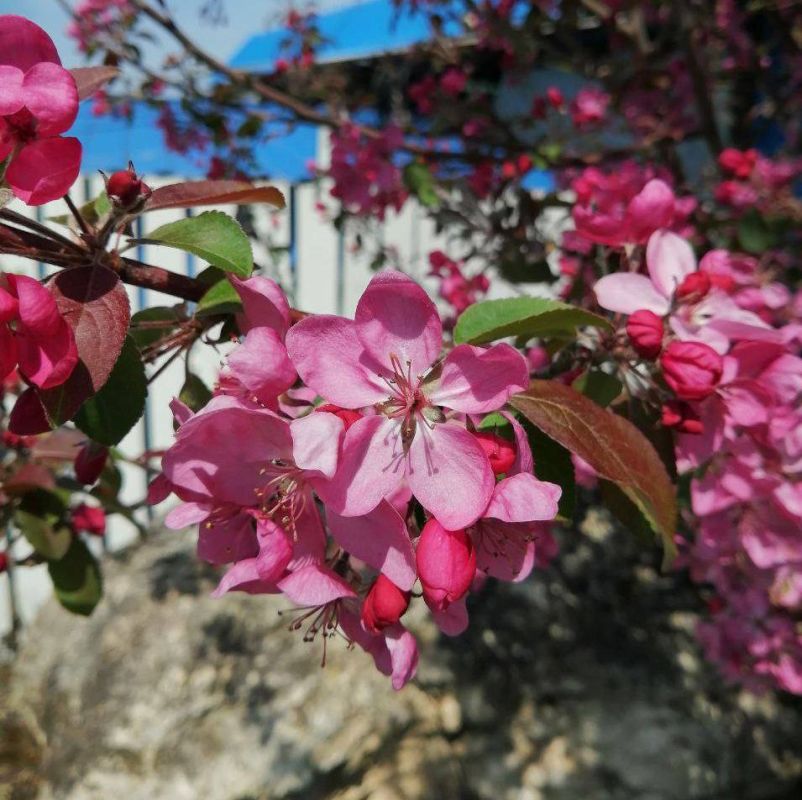 ������� ���������: ������� �������������! �� ���� ���� ���������� ��� � ���������� ����� � �����!