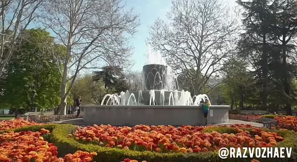 � ����������� ������ �������� �������