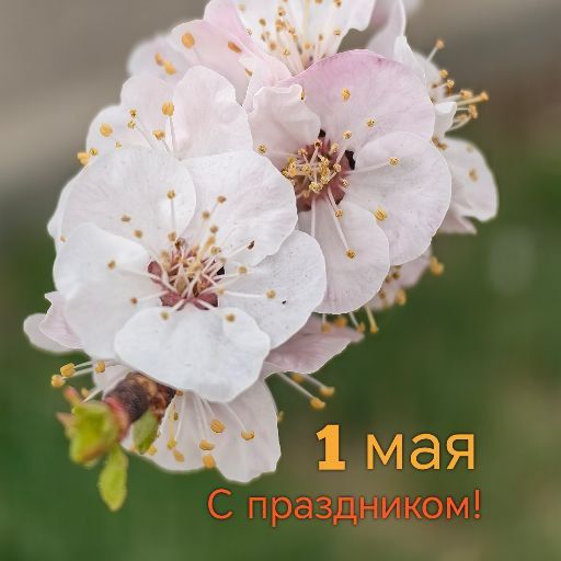 ����� �������: ���������� ��� � ���������� ����� � �����!