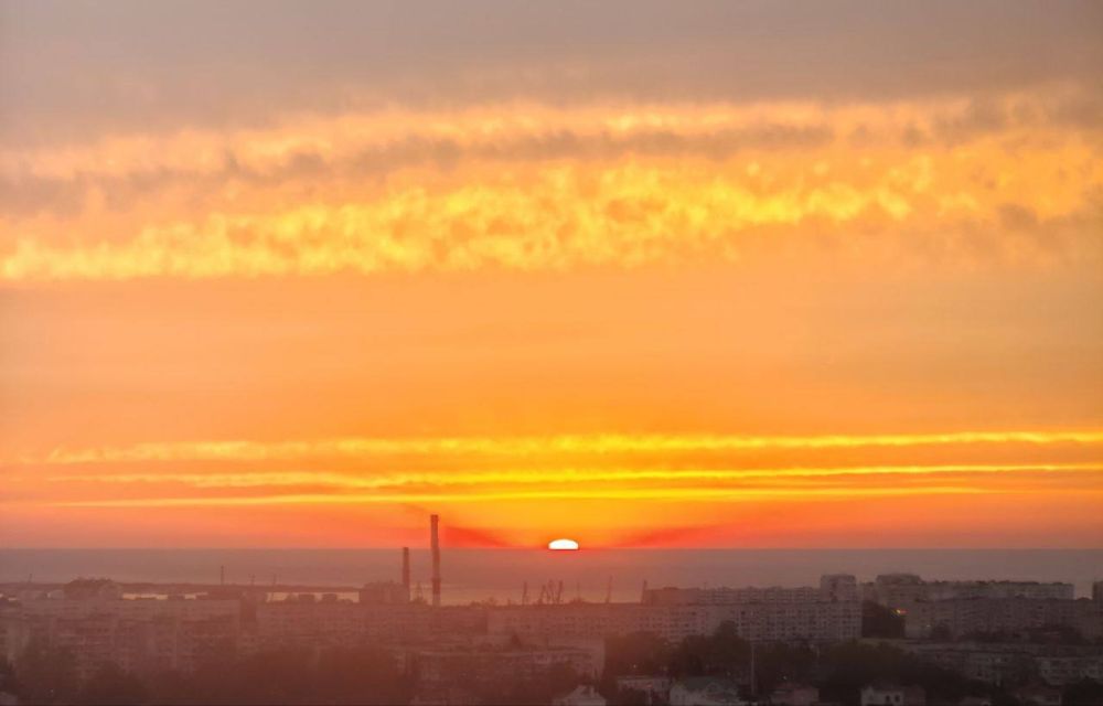 ������ ����� ���.. ����: ����