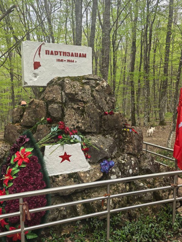 ����� ������� � ������ ������� ��������������� ����� � ������ ������ �������� � �����������