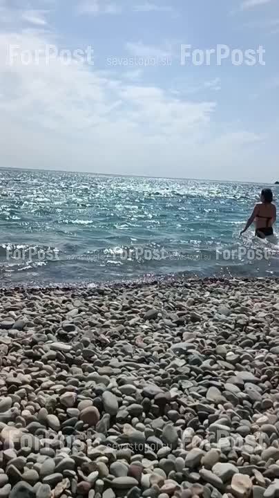 ��� �������� ������������� ��� ��������� ��������� �����