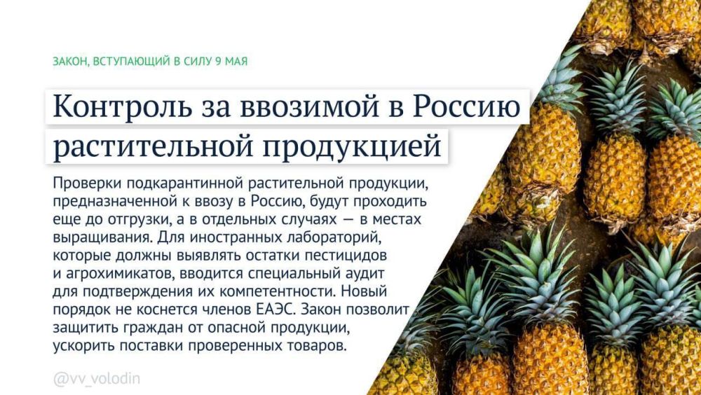 �������� ������: ����� ������ �������� � ���� � ��� 2025 ����