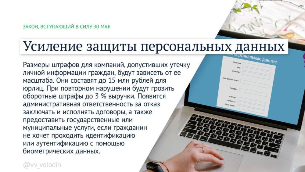 �������� ������: ����� ������ �������� � ���� � ��� 2025 ����