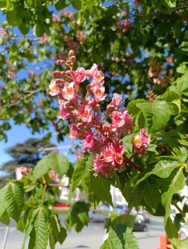 ����� ��������� ���� ������ ������� ������ ������� ��������