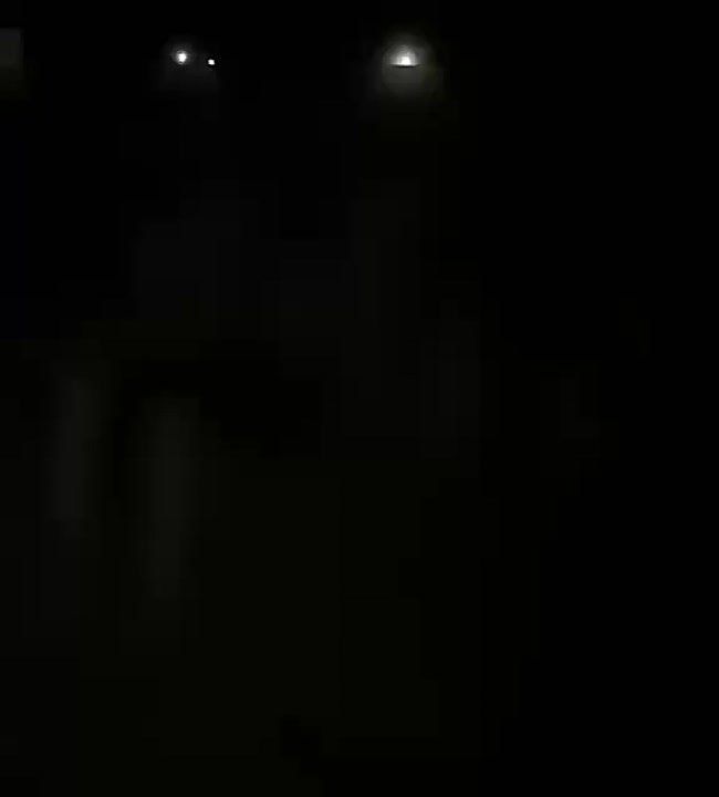 �����������, ����, �������