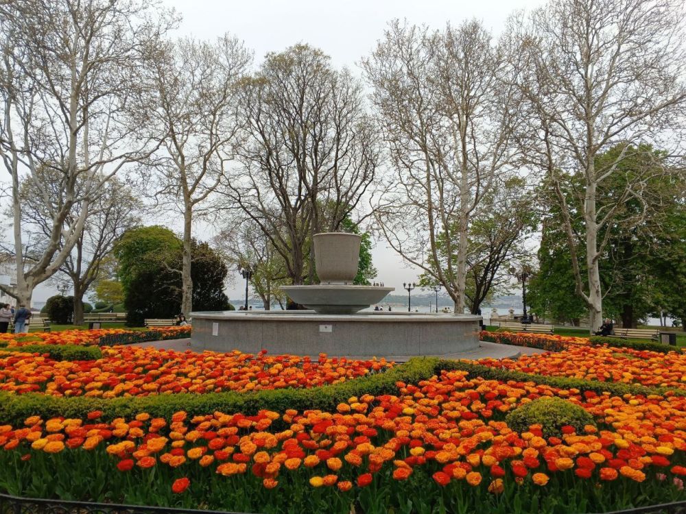 ������� �������� ����. � ����������� ��� �������