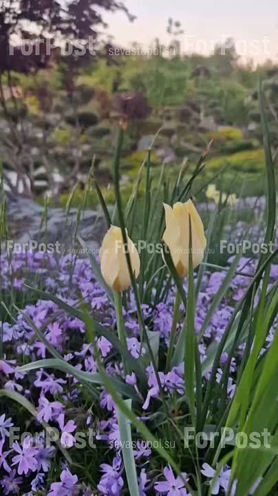 ����� ���� � �����������. ������� � ������ ���������� ����������